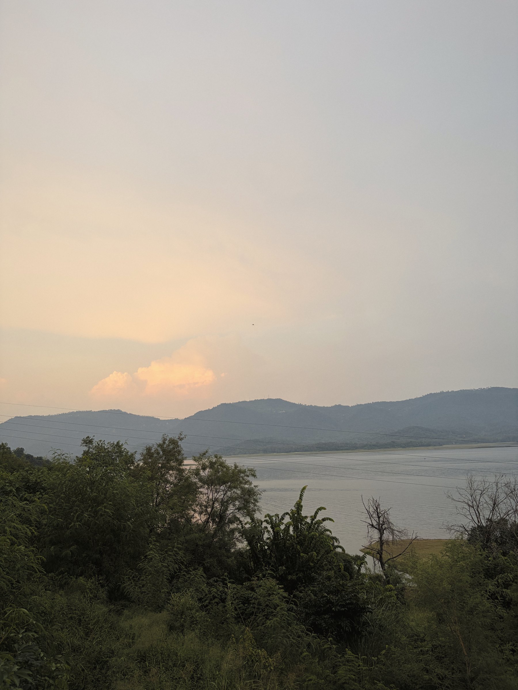Evening, arriving pink and unhurried.